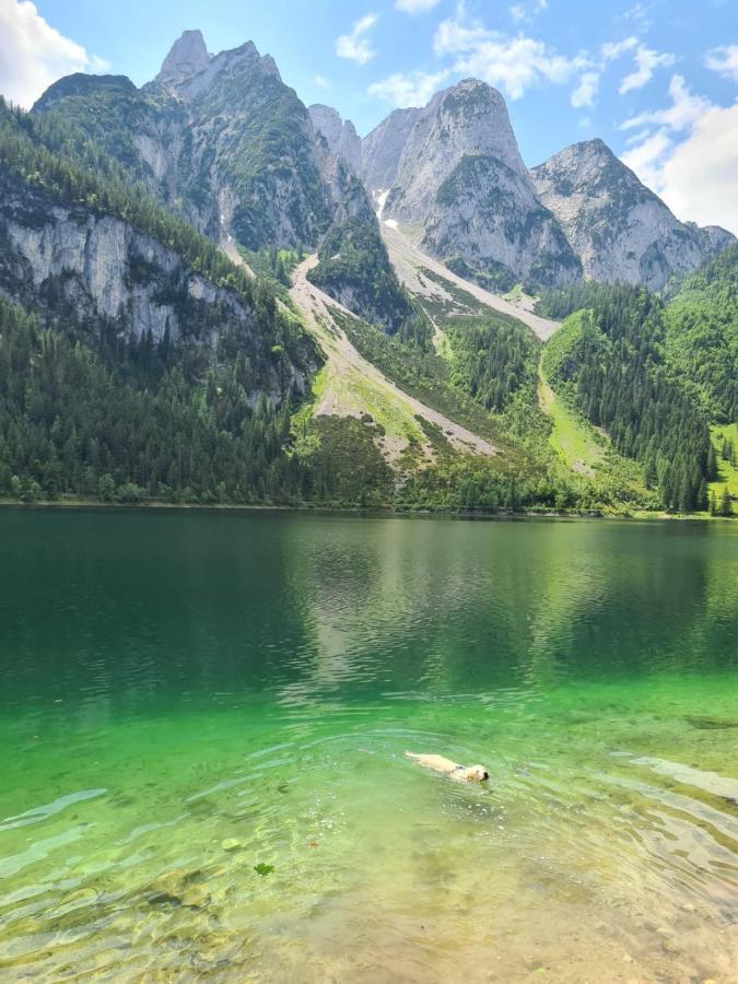 Ferienwohnung Margareta Bad Goisern Esterno foto
